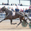 High on Pepper on ansainnut urallaan jo lähes 7,5 miljoonaa kruunua. Kuvassa vakio-ohjastaja Jorma Kontio High on Pepperin kanssa viime vuoden Harper Hanoverin lähdössä.