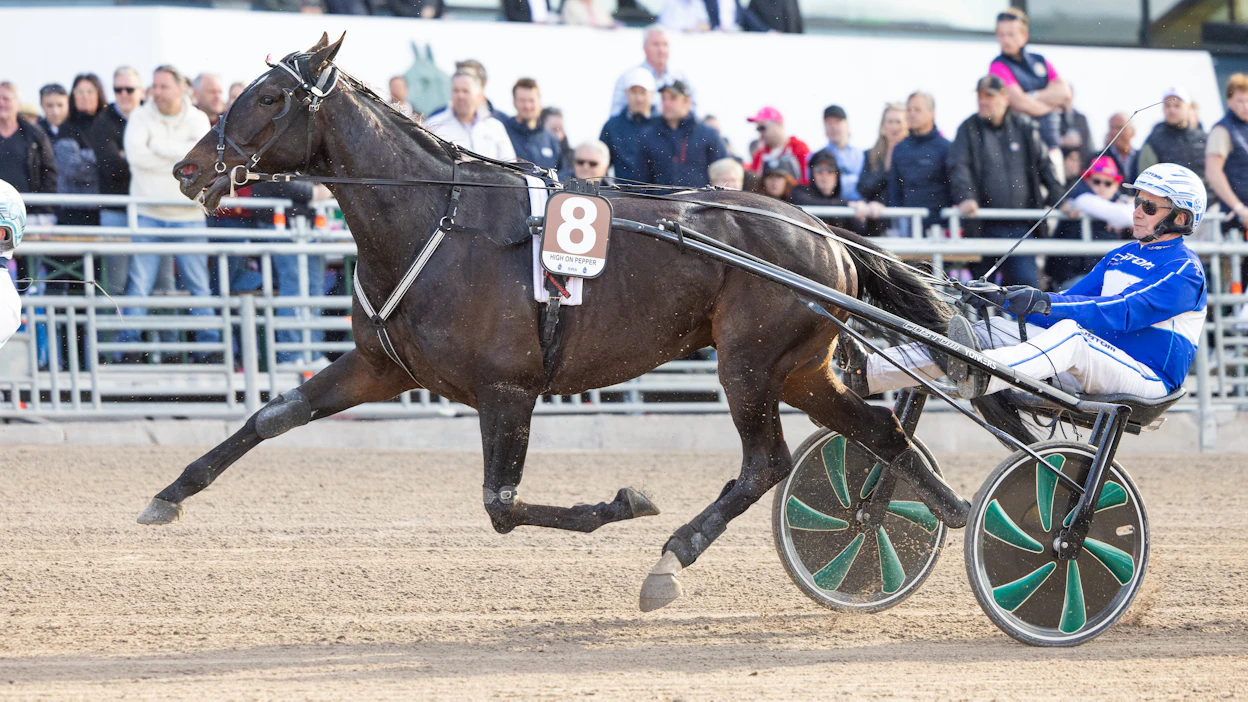 High on Pepper on ansainnut urallaan jo lähes 7,5 miljoonaa kruunua. Kuvassa vakio-ohjastaja Jorma Kontio High on Pepperin kanssa viime vuoden Harper Hanoverin lähdössä.