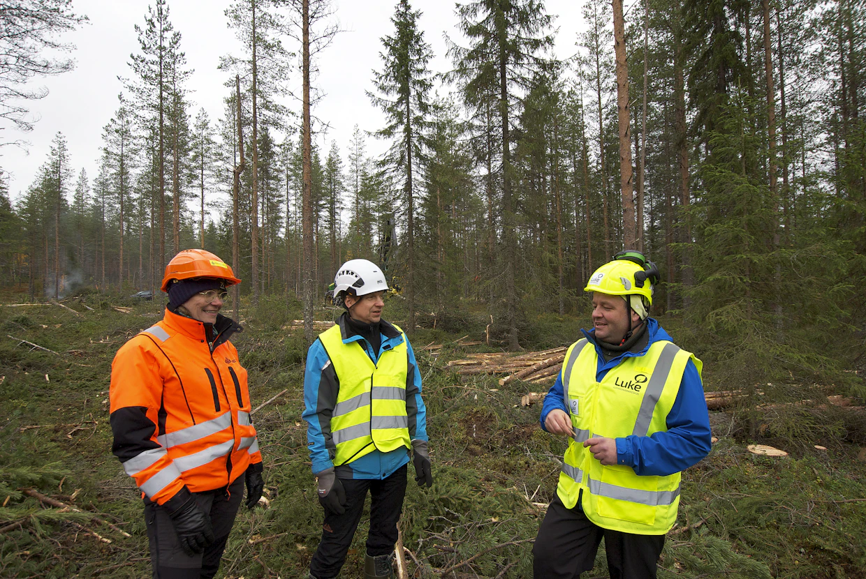 Hankkeen projektipäällikkö Raija Palokangas Redusta sekä Luken tutkijat Jaakko Repola ja Juha Laitila tutustuivat hakkuukoealoihin Rovaniemen Hirvaalla.