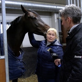 Sanna Backlund kertoo Juha Jokiselle elämästään hevosten parissa. 