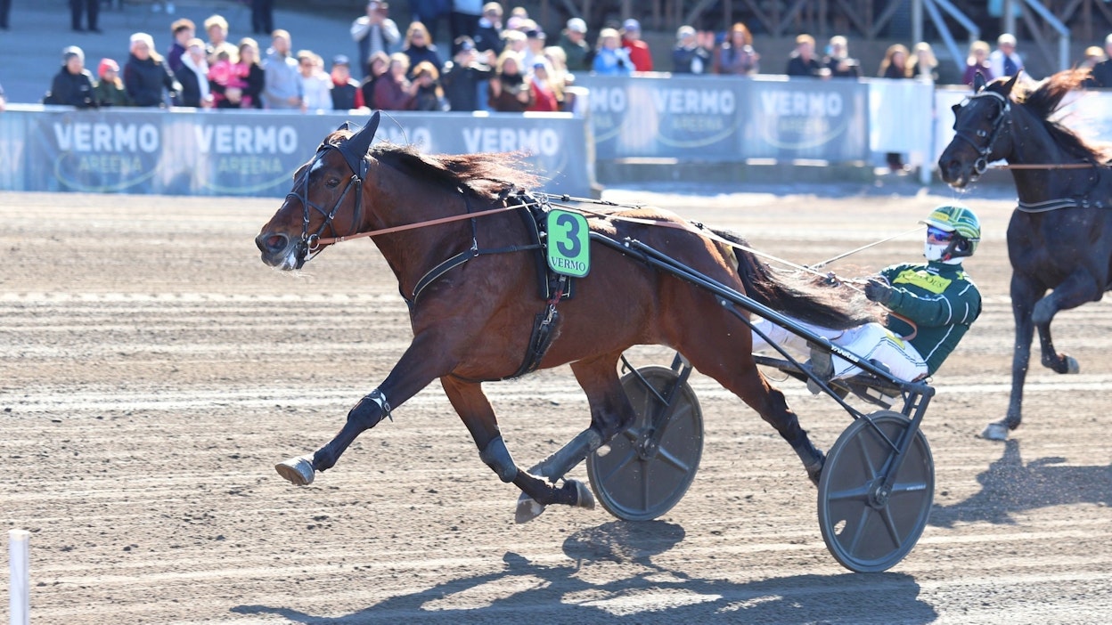 Massimo Hoist oli nopein reilu viikko sitten Vermon maililla.