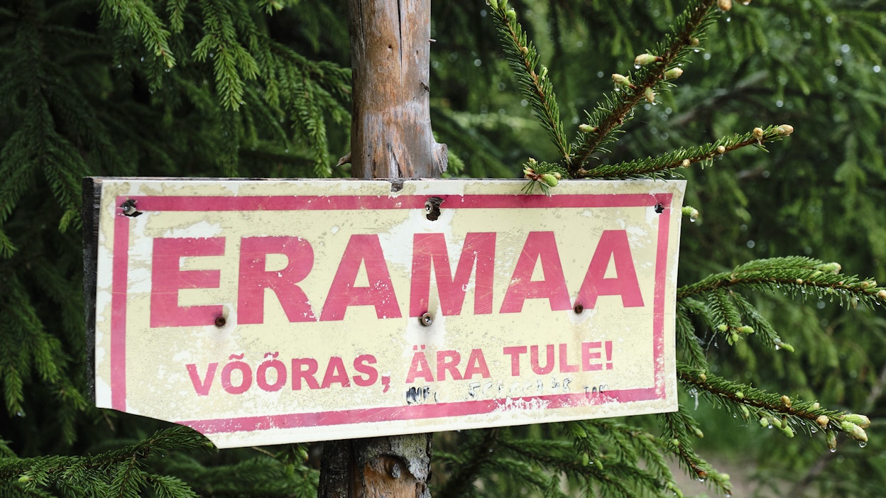 Yksityisten tahojen ja yhtiöiden omistuksessa Viron metsistä on lähes puolet.