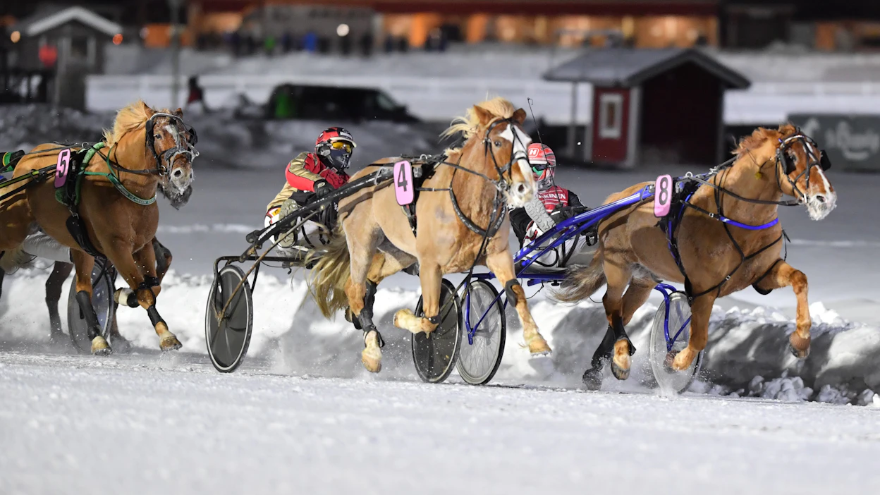 Ravialalla juoksevat juuri nyt kilpaa muutkin kuin hevoset. Suomen Hippoksen valtuuskunnan odotetaan tekevän perjantaina alan tulevaisuutta sanelevan päätöksen.