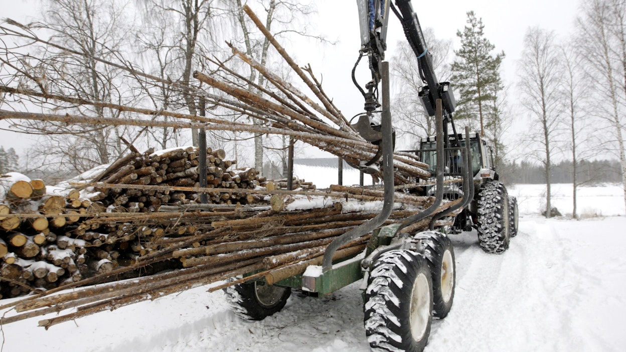 MT:n verkkokyselyn vastaajista hieman yli puolet kertoi lisänneensä lämmityspuuhakkuita metsissään tänä vuonna.