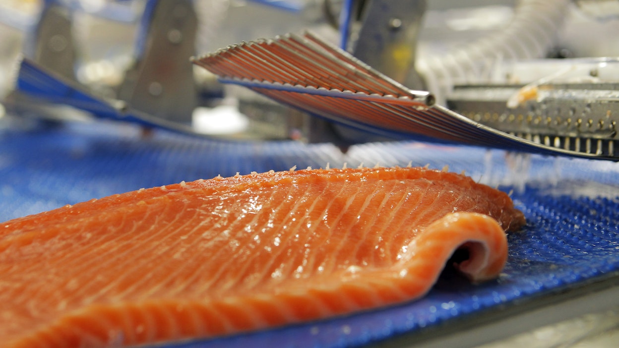 Lohen osuus Norjan kalateollisuuden viennistä on noin 70 prosenttia