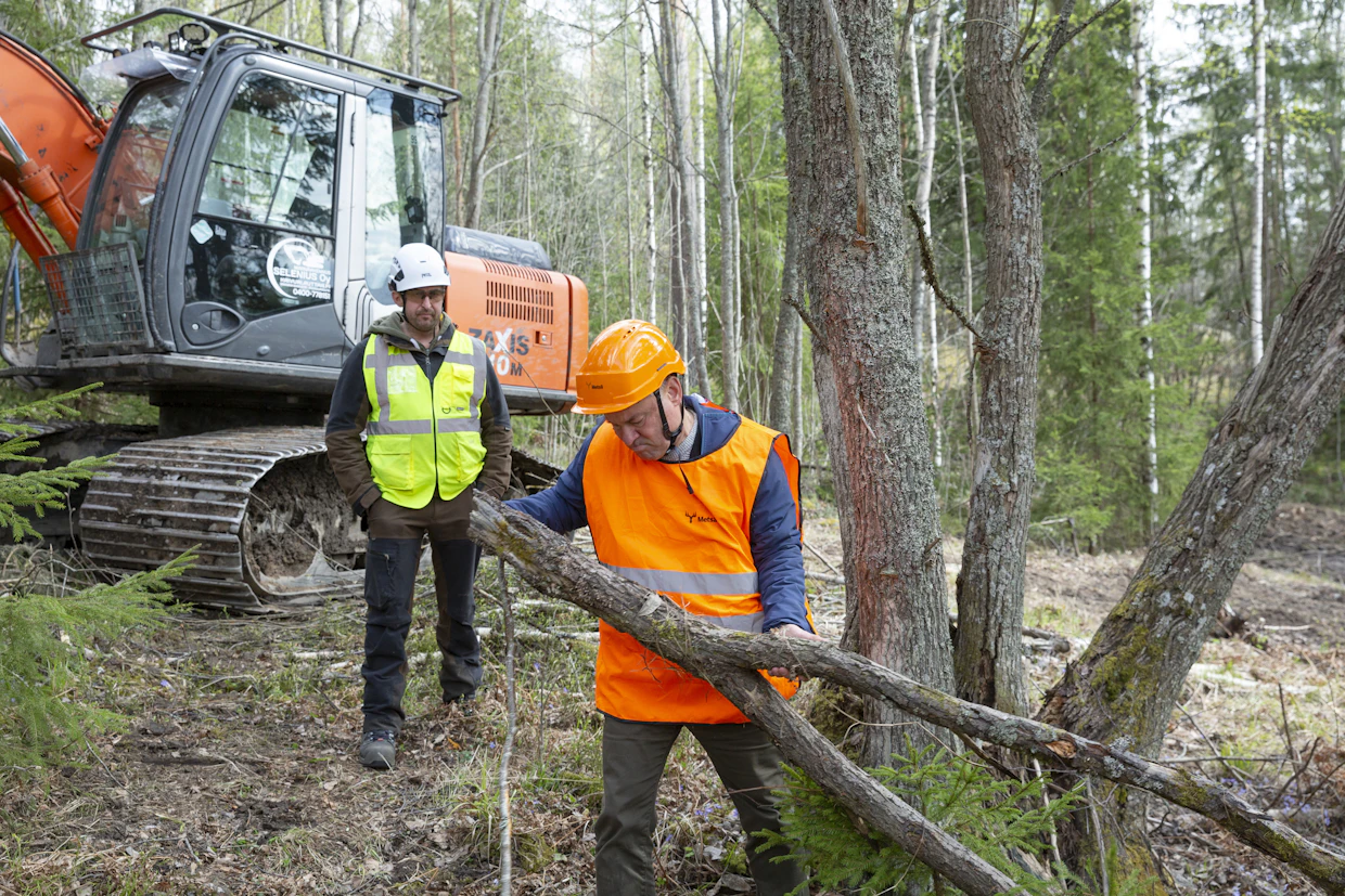 Metsiin jää hakkuiden yhteydessä Timo Lehesvirran pitelemää pienpuuta, mutta järeästä lahopuusta on pulaa. Takana metsäluonnonhoidon asiantuntija Nicolas Vollar.