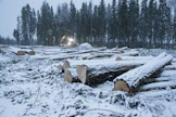 Metsävähennykseen ovat oikeutettuja luonnolliset henkilöt, kuolinpesät, verotusyhtymät ja yhteismetsät. 