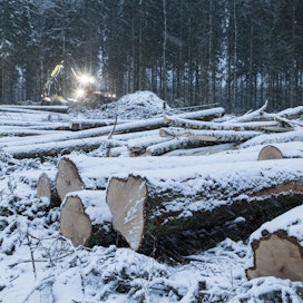 Suurin osa metsänomistajista on tyytyväisiä viimeisimpään puukauppaansa.