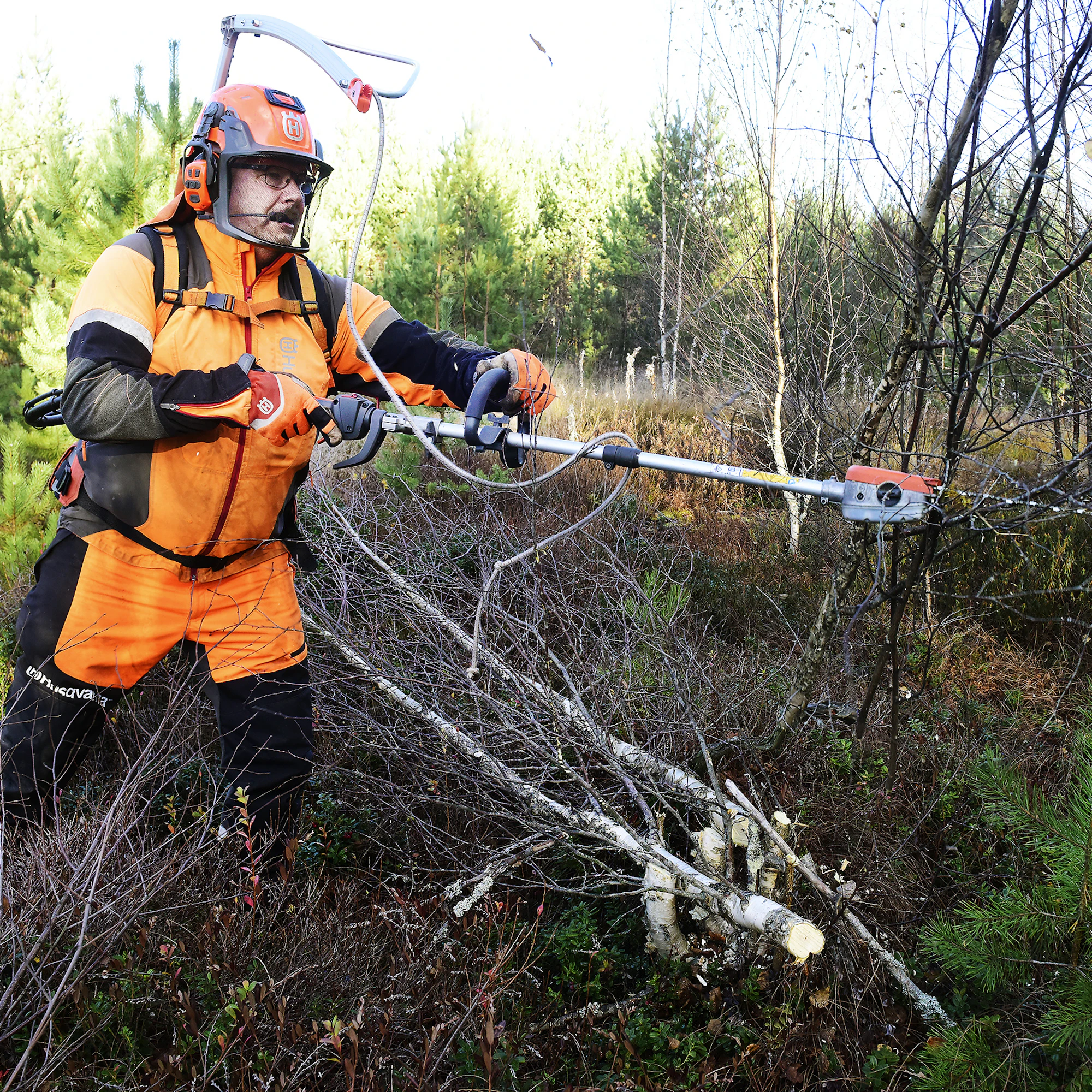 Sami Salo käyttää ketjuraivaussahaa muun muassa kylvömänniköiden taimikonharvennuksissa ja ennakkoraivauksissa. Ruotsissa kehitetty laite on suunniteltu myös pitkään kantoon raivaamista varten.