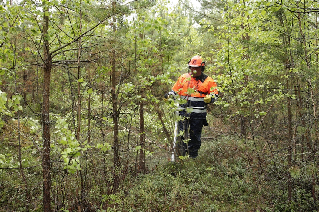 Tornator teki alkuvuonna ennätystuloksen.