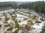 Talviset olosuhteet vallitsevat etelärannikkoa myöten. Antti Martikainen hakkasi kuusikkoa Kirkkonummella Uudellamaalla viime perjantaina.