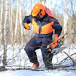 Metsäalan työntekijät työskentelevät muun muassa puutavaran valmistuksessa sekä metsänhoito- ja metsänparannustöissä.
