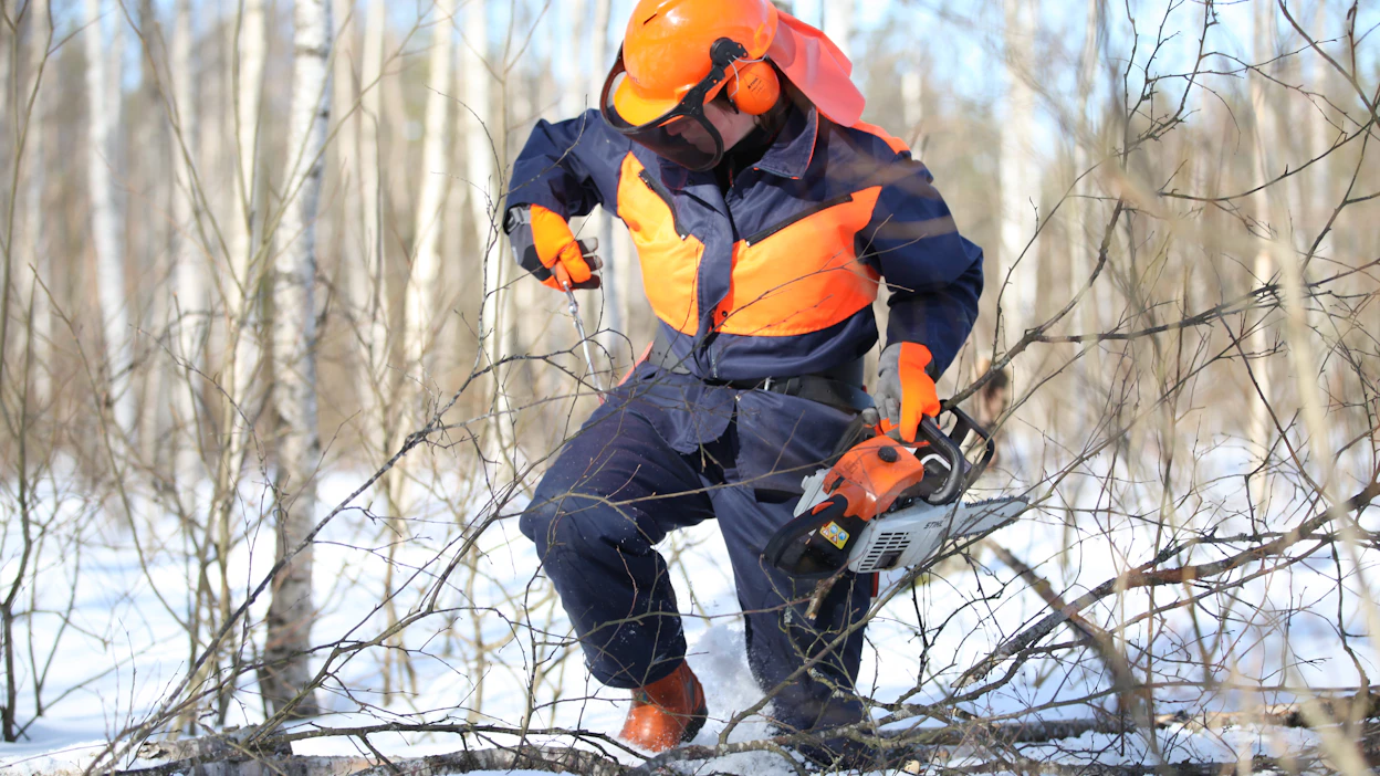 Metsäalan työntekijät työskentelevät muun muassa puutavaran valmistuksessa sekä metsänhoito- ja metsänparannustöissä.