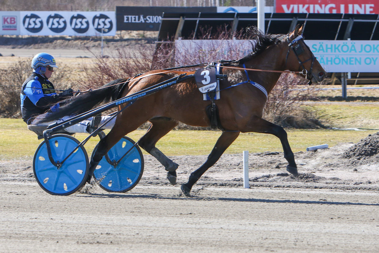 Juha Utalan Graindfield Cannon starttaa T75-pelin päätöskohteessa. Utala on myös hyvä menestyssauma Morisonin kanssa viidennessä kohteessa.