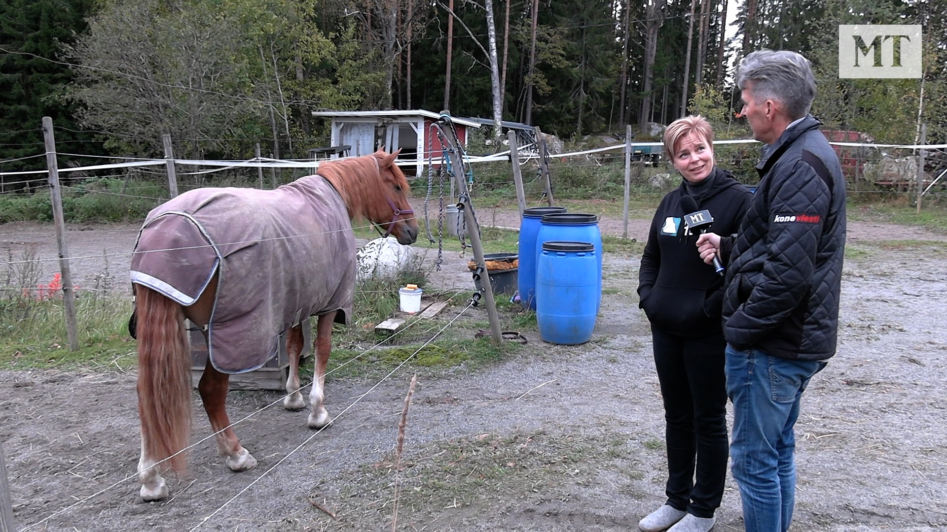 Karoliina Mustamo kertoo Huisi Hipusta ja muista hevosistaan Juha Jokisen haastattelussa.