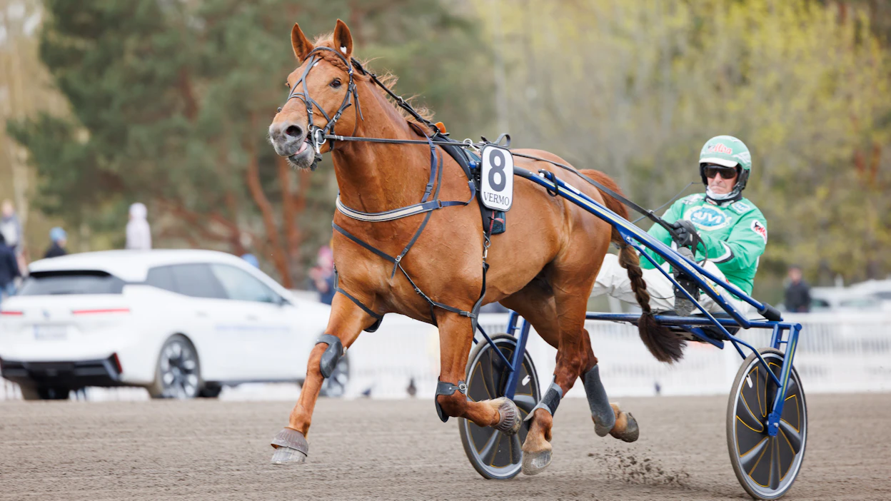 Ari Moilanen on V.G. Voiton rattailla myös Power Parkin raviradalla ajettavassa Nordic Kingissä.