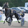 Run For Royaltyn ura oli pitkä ja komea. Viimeisen kilpailusuorituksen ori teki lauantaina Vermossa ja rattailla istui Janne Korpi.
