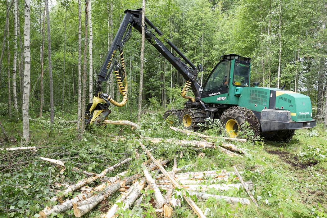 Kirjoittaja käsittelee tekstissään metsäalan muutosten vuosikymmeniä.