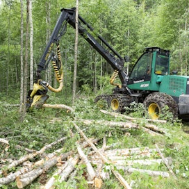  Suomen metsätalouden puolustaminen saattaa ammattina koetella mielenterveyttä, arvelee Teemu Keskisarja.