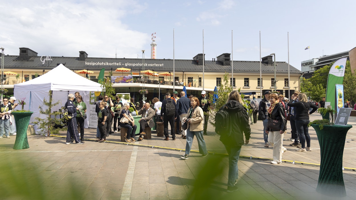 Metsämarssin syntymäpäiviä vietettiin aurinkoisessa kelissä.