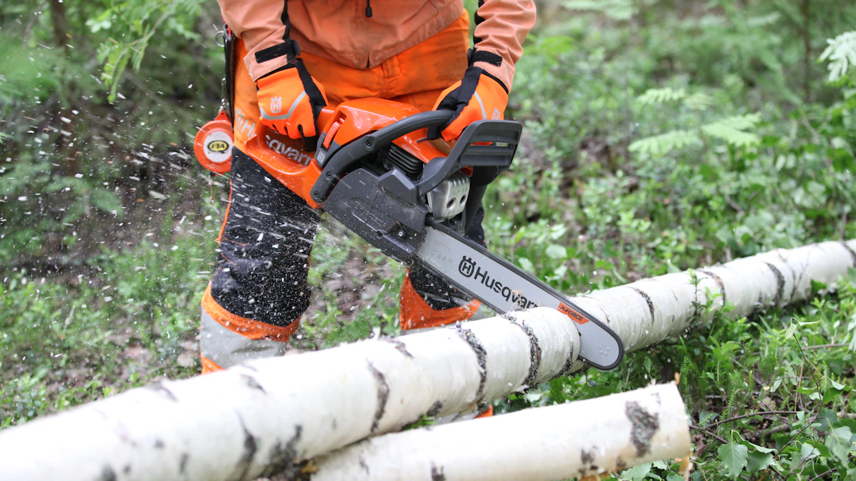 Metsälaki velvoittaa metsänomistajat uudistamaan avohakatut metsät, mutta jopa joka kymmenes aukea jää ilman riittävää taimikkoa. Kuvituskuva.