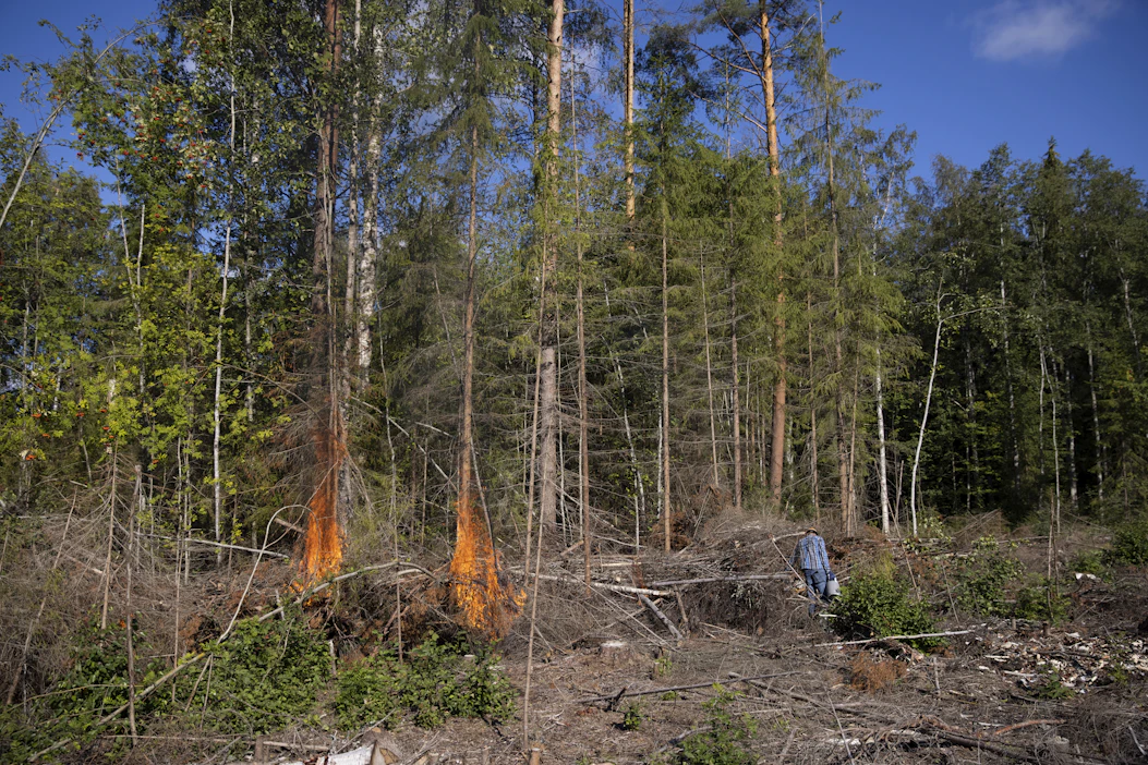 Tuli metsässä -sanasto edistää omalta osaltaan metsäpaloihin ja kulotuksiin liittyvää julkista keskustelua.