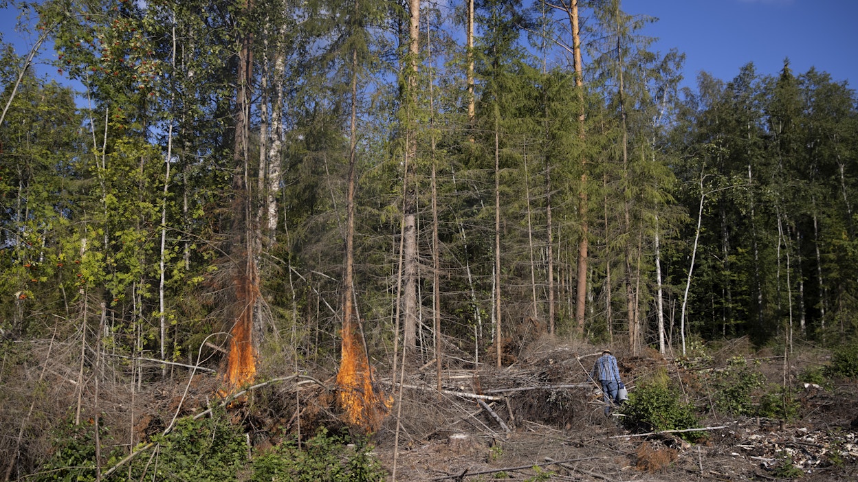 Tuli metsässä -sanasto edistää omalta osaltaan metsäpaloihin ja kulotuksiin liittyvää julkista keskustelua.