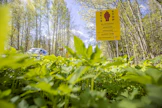Luovutuksesta tai Kannaksen läpi juoksemisesta puhuminen loukkaa Suomea puolustaneiden sotilaiden ja siviilien työtä, huomauttaa kirjoittaja. Kuvituskuva itärajalta. 