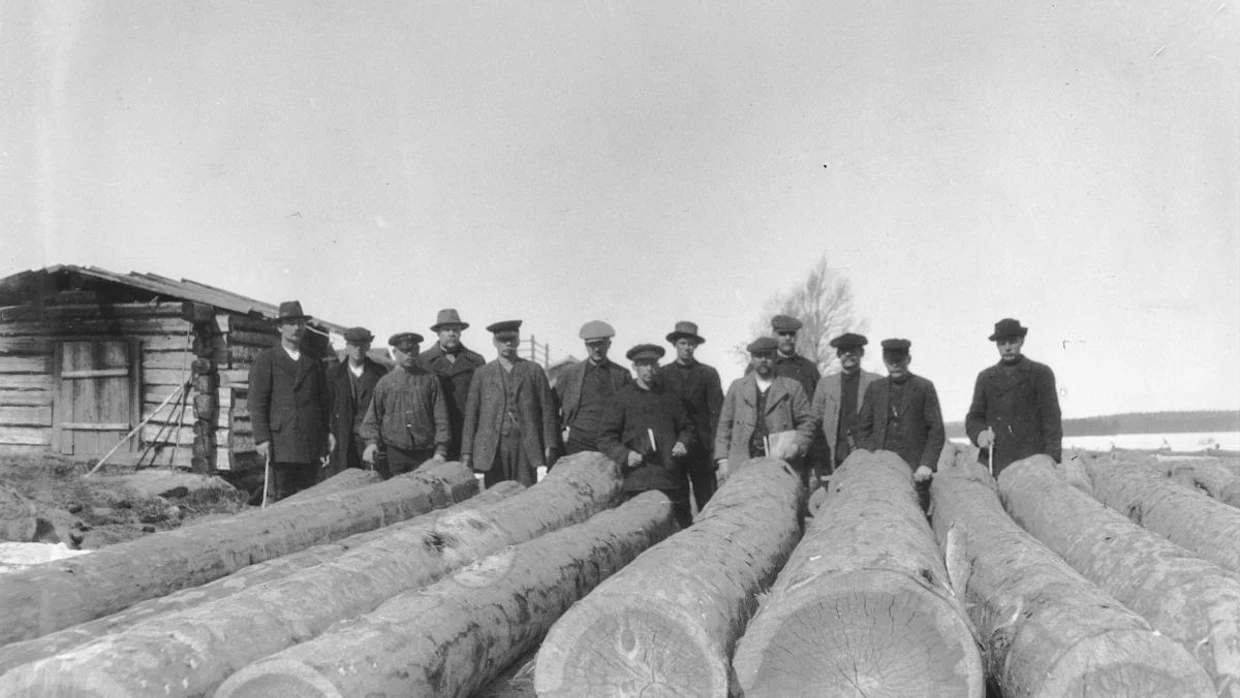 1800-luvun hakkuista tai niiden toteutuksesta ei ole säilynyt juurikaan valokuvia. 1900-luvulla kamera saattoi jo ikuistaa merkittävän savotan, kuten kävi Nurmeksen Kuohattijoella 1915. Metsähallituksen ja W. Gutzeit & Co:n herrat asettuivat valokuvaan kuorittujen sahatukkien kanssa.