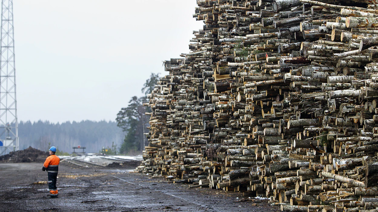 Yhtiön mukaan selluntuotannon seisokilla sopeutetaan tuotantoa markkina- ja kustannustilanteeseen. Kuvituskuva.