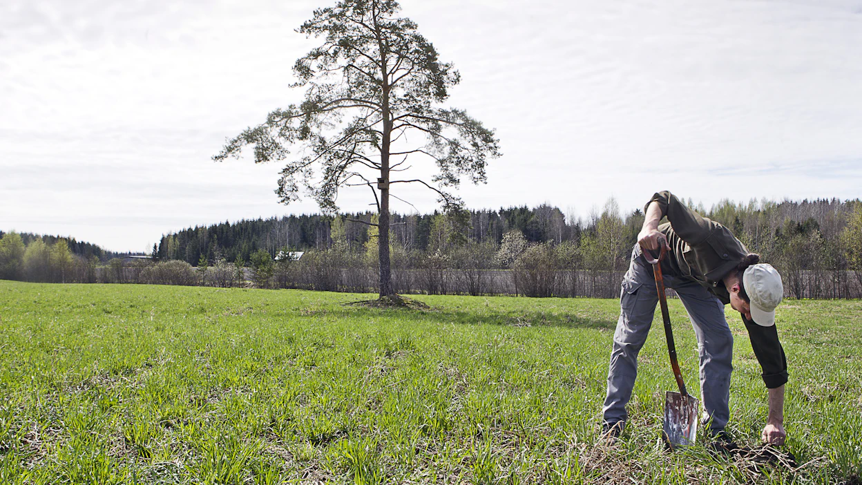 Peltomaan laatua kuvaavia keskeisiä indikaattoreita ovat eroosio, orgaanisen aineksen väheneminen ja maan tiivistyminen.