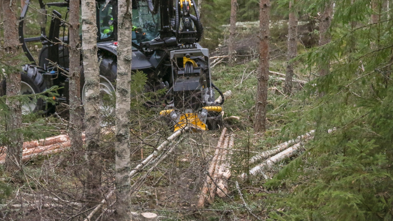 Nordic Fuel Nordic hyödynsi sahojen sivuvirtoja ja harvennusten biomassaa.