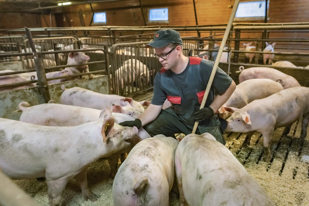 Viljelijätaustaisen omistusrakenne mahdollistaa Maanvaalija Oy:n toimitusjohtaja Risto Lahden mukaan sen, että suurin hyöty hiilensidonnasta päätyy toimenpiteen toteuttavalle viljelijälle ja metsänomistajalle.