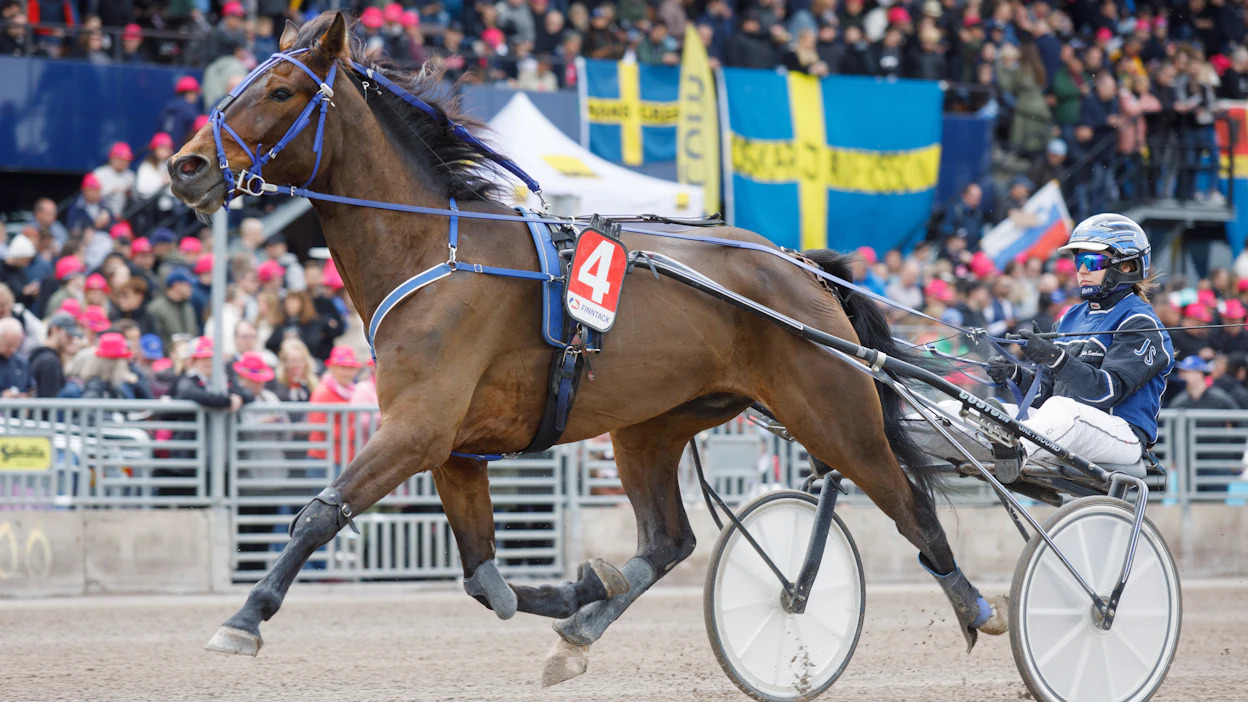 Julia Smedman taitaa kärry- ja monté-lähdöt. Kuvassa hän ohjastaa Fight For Victorya Solvallassa.
