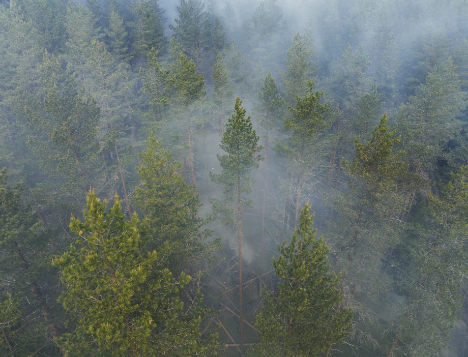 Suomessa laajat, hallitsemattomat metsäpalot ovat harvinaisia, vaikkakin ilmastonmuutos lisää niiden riskiä.
