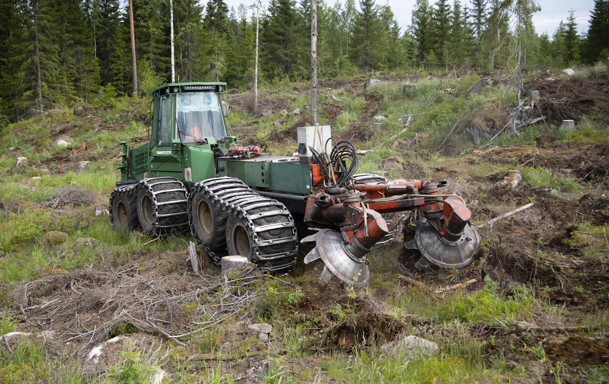 Äestys sopii vettä läpäiseville maille.