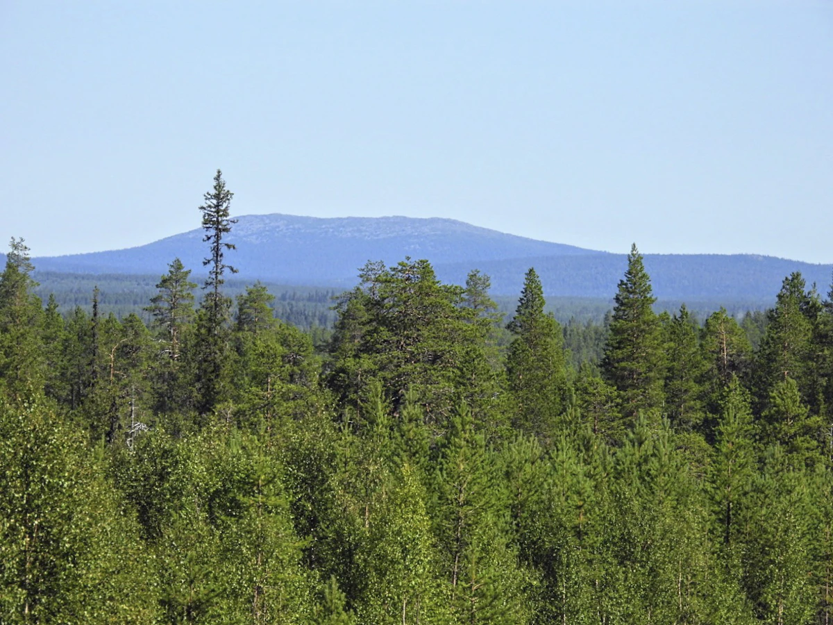 Maaseudun Tulevaisuus