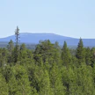 Lapissa nähtiin yöpakkasia. Kuvituskuva.