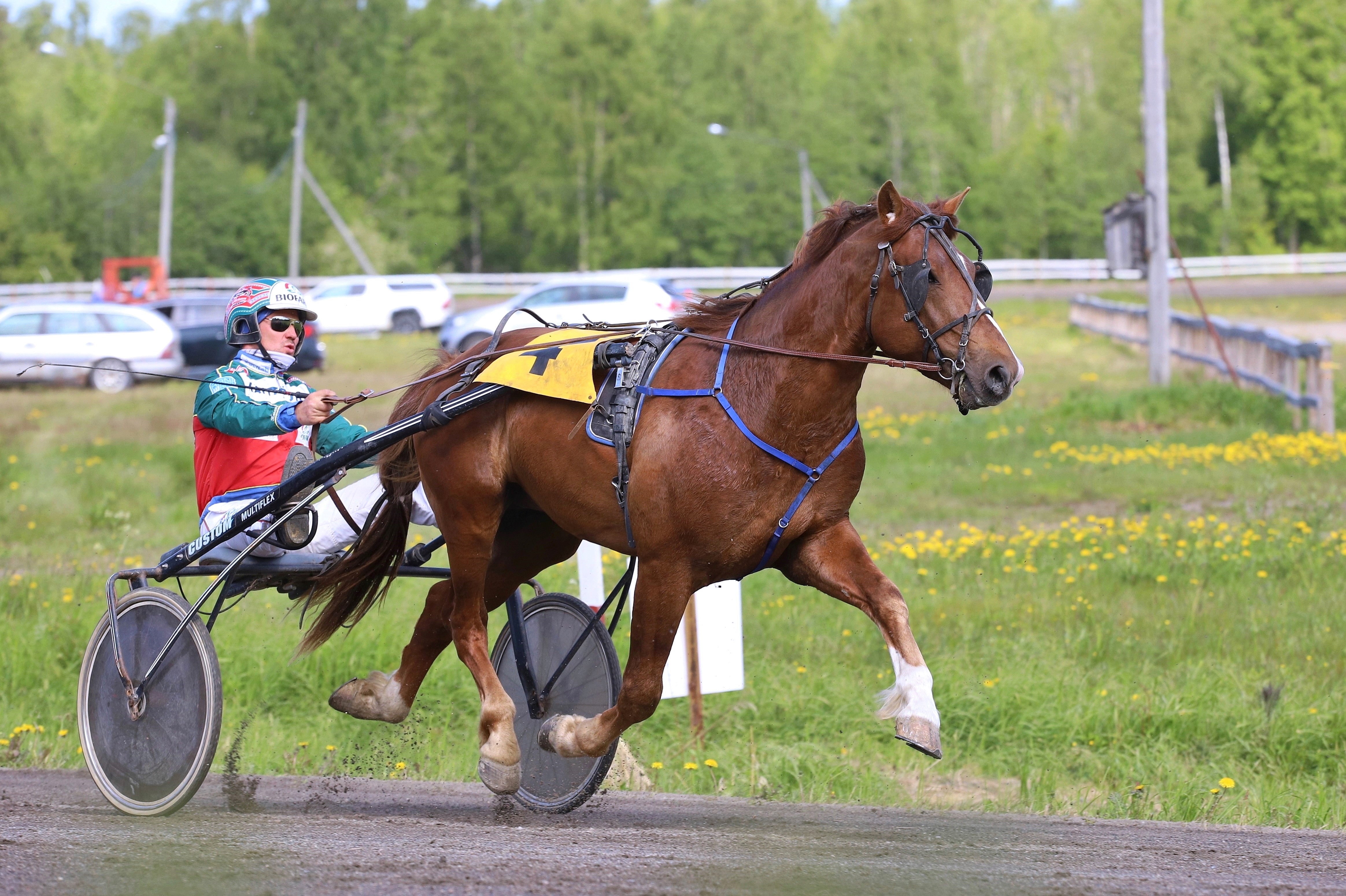 Ville Välähys voi olla potentiaalinen potintekijä ensimmäisessä kohdelähdössä. Kuvan Hannu Hietasen sijaan rattailla on Teivossa Hannu Torvinen.