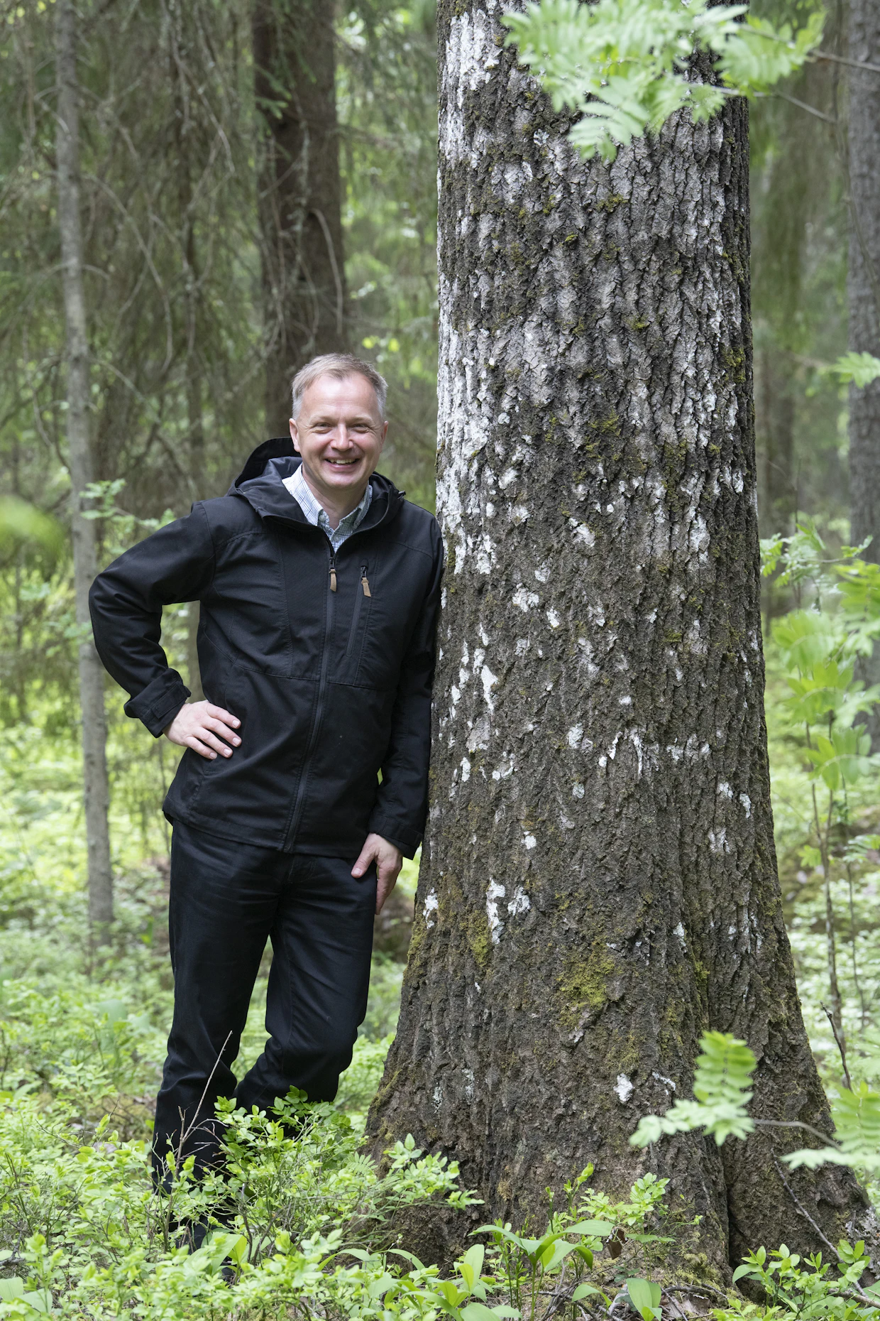 Metsää kannattaa ajatella sijoituksena, Sauli Brander kannustaa. ”Jos metsänhoitoa lykkää, se koituu joka vuosi kalliimmaksi.”