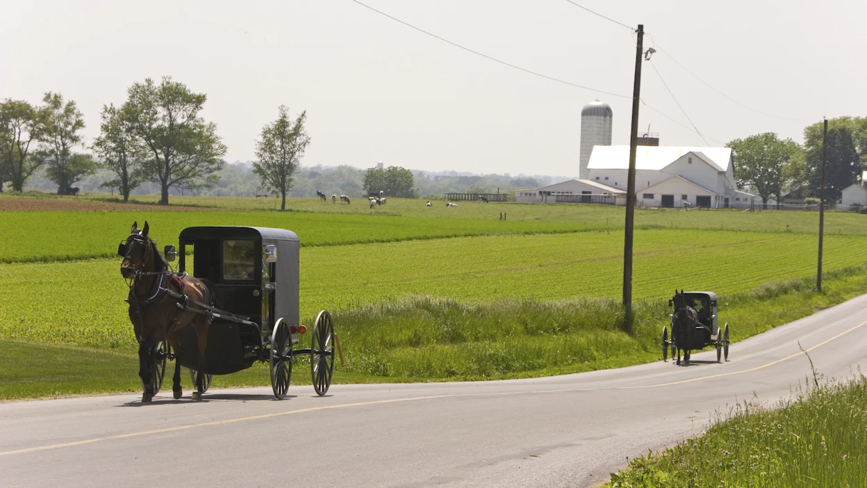 Koska amissiuskonto kieltää muun muassa auton käyttämisen, hevoset ovat edelleen kulkuvälineitä. Kuvassa amissien perinteisiä buggy ride -kärryjä.