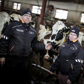 Maatalousyrittäjillä Janne ja Pia Puttosella on takanaan raskaita vuosia, kun maatilaa haettiin yrityssaneeraukseen. Menettely kuitenkin pelastaa tilan konkurssilta, josta tilanpitäjät iloitsevat.