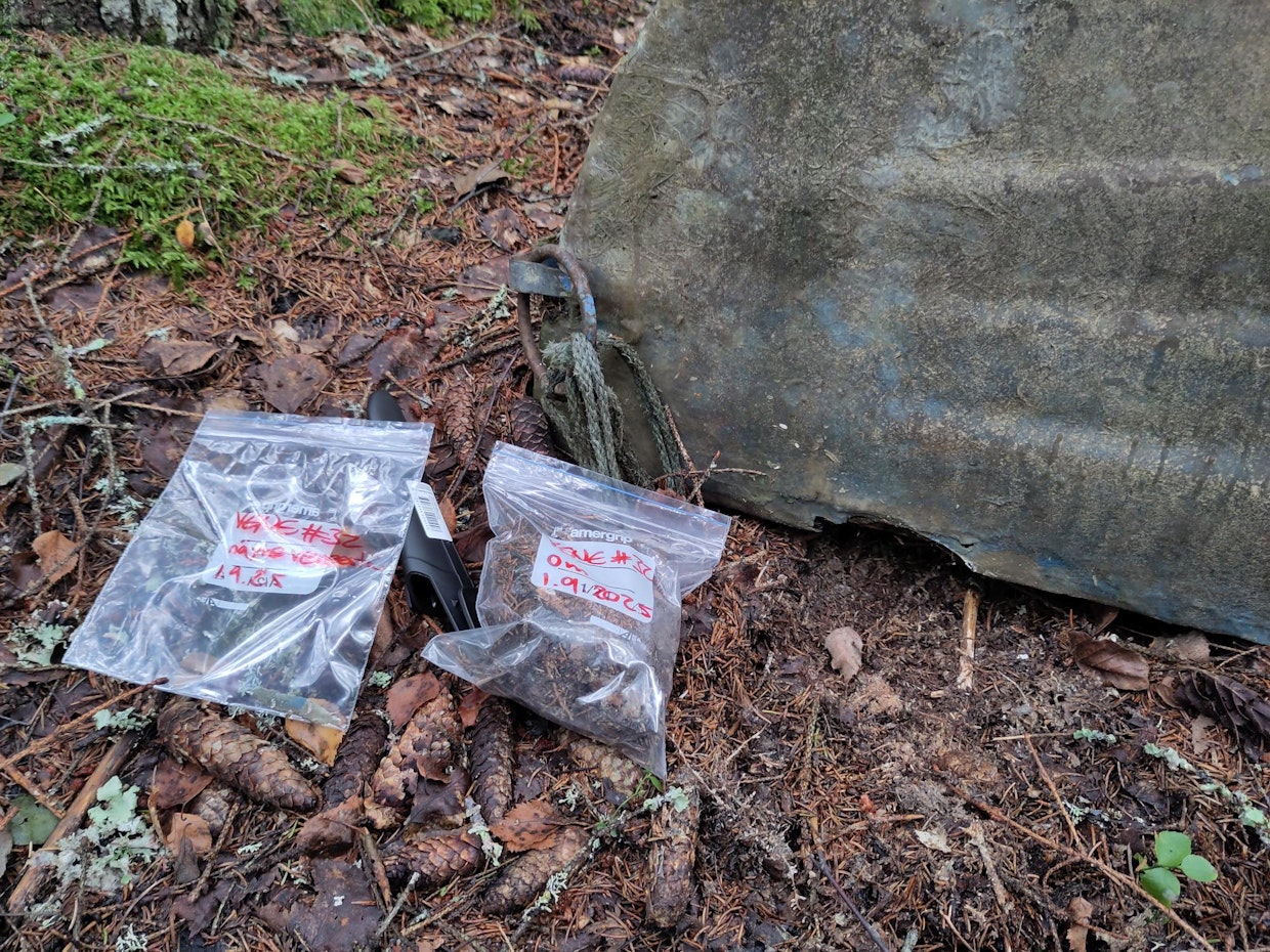 Kukkian lasikuituveneiden kierrätyskampanjan yhteydessä kerättiin näytteitä veneiden ympäristöstä tutkimusta varten.