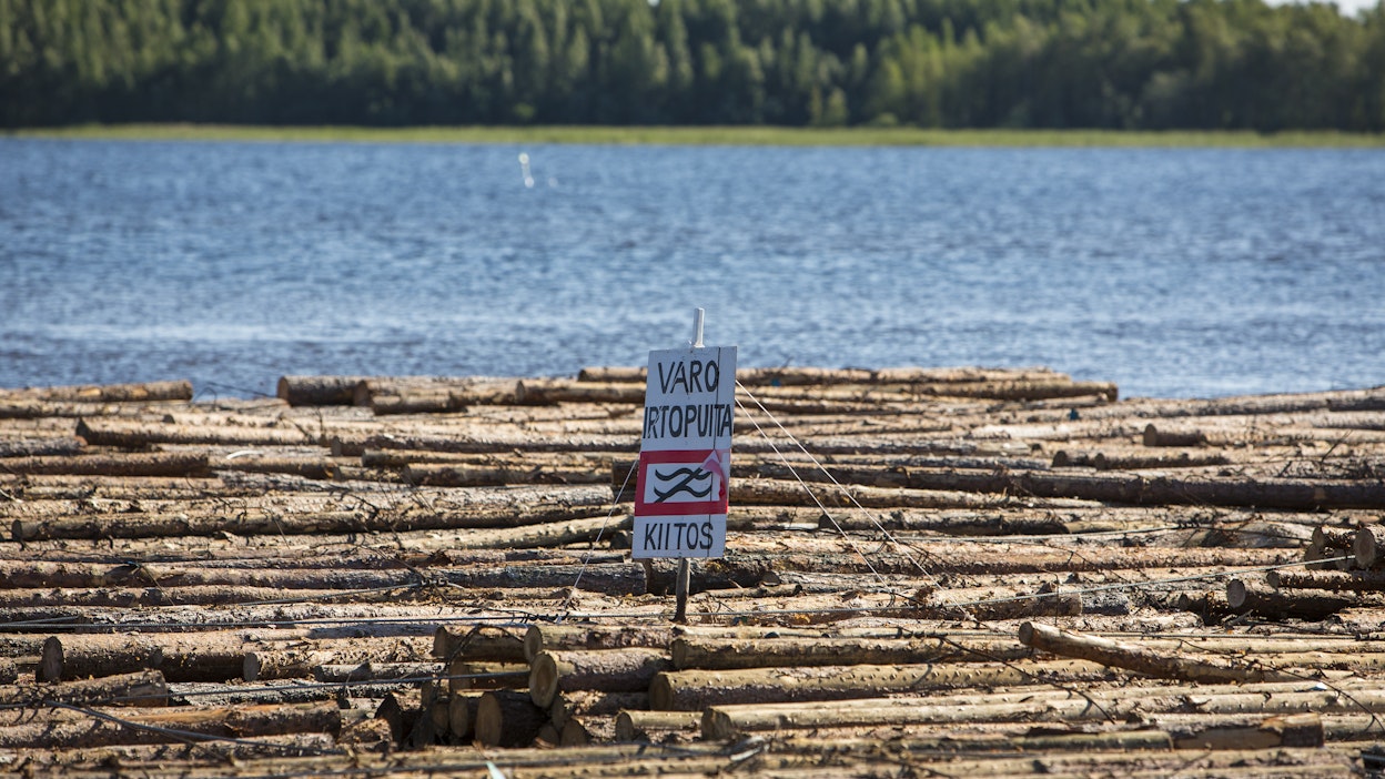 Kolme metsäkonetta upposi Pieliseen kaks viikkoa sitten, kun koneita kuljettanut lautta upposi.