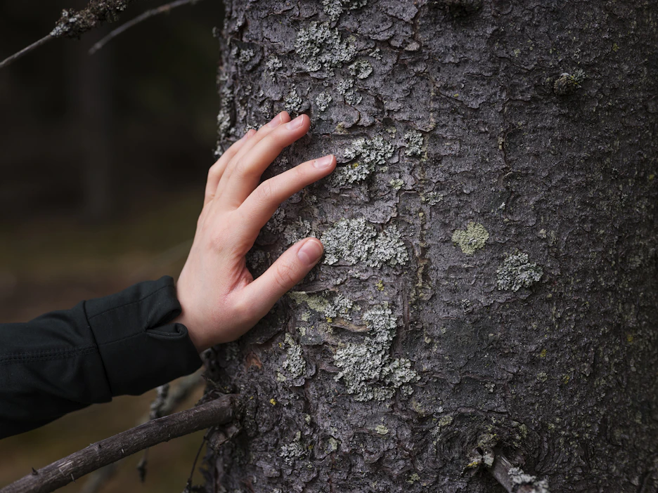 Sukupolvenvaihdokseen liittyy usein vahvoja tunteita, koska ihmisen yhteys metsään ja omaan kotiseutuun on vahva.