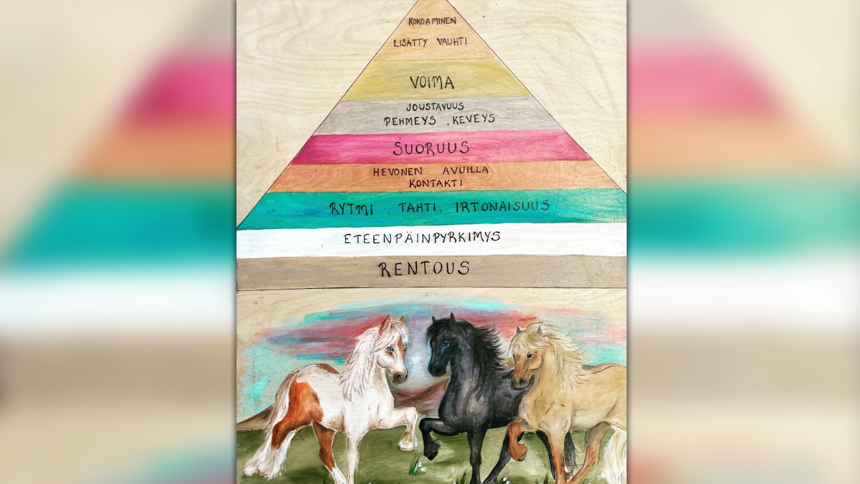 Hevosen koulutuspyramidi rakentuu askel askeleelta kohti aitoa kokoamista.