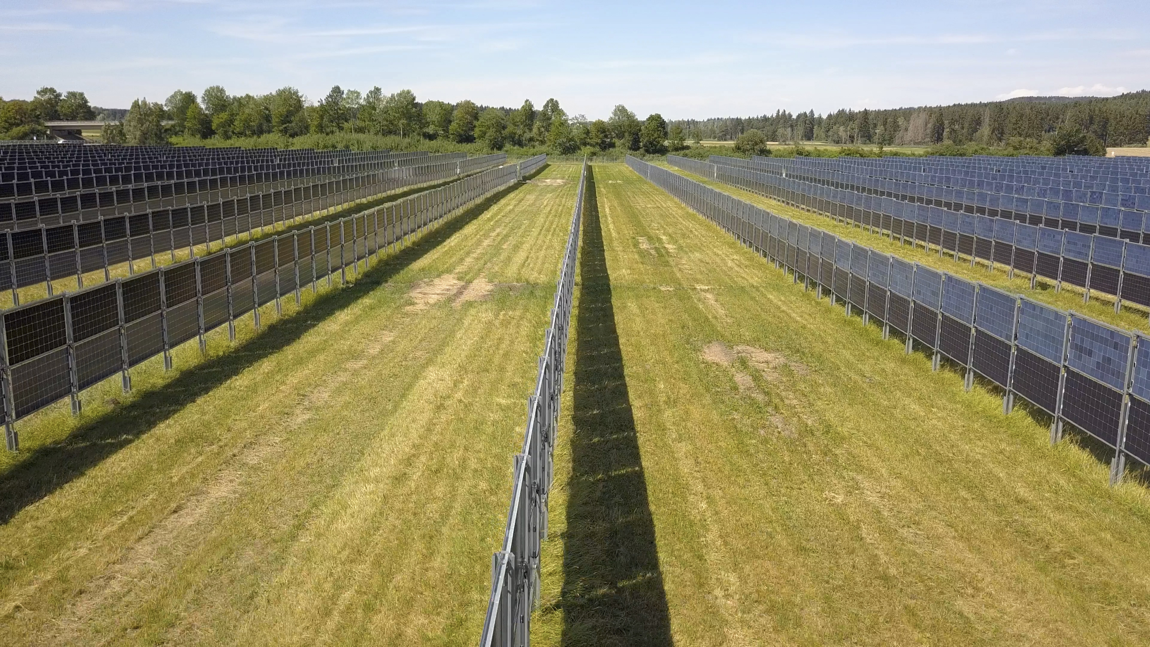 Pystyyn asetettuja aurinkopaneeleita Saksalaisella pellolla. Kuvituskuva.