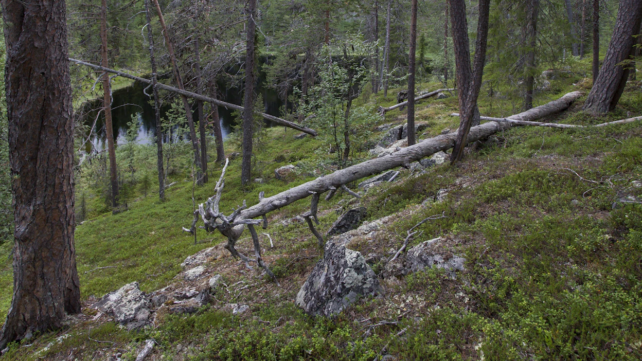 Suunnitelmaa koskevalla alueella on kahdeksan kansallispuistoa ja yksi retkeilyalue.