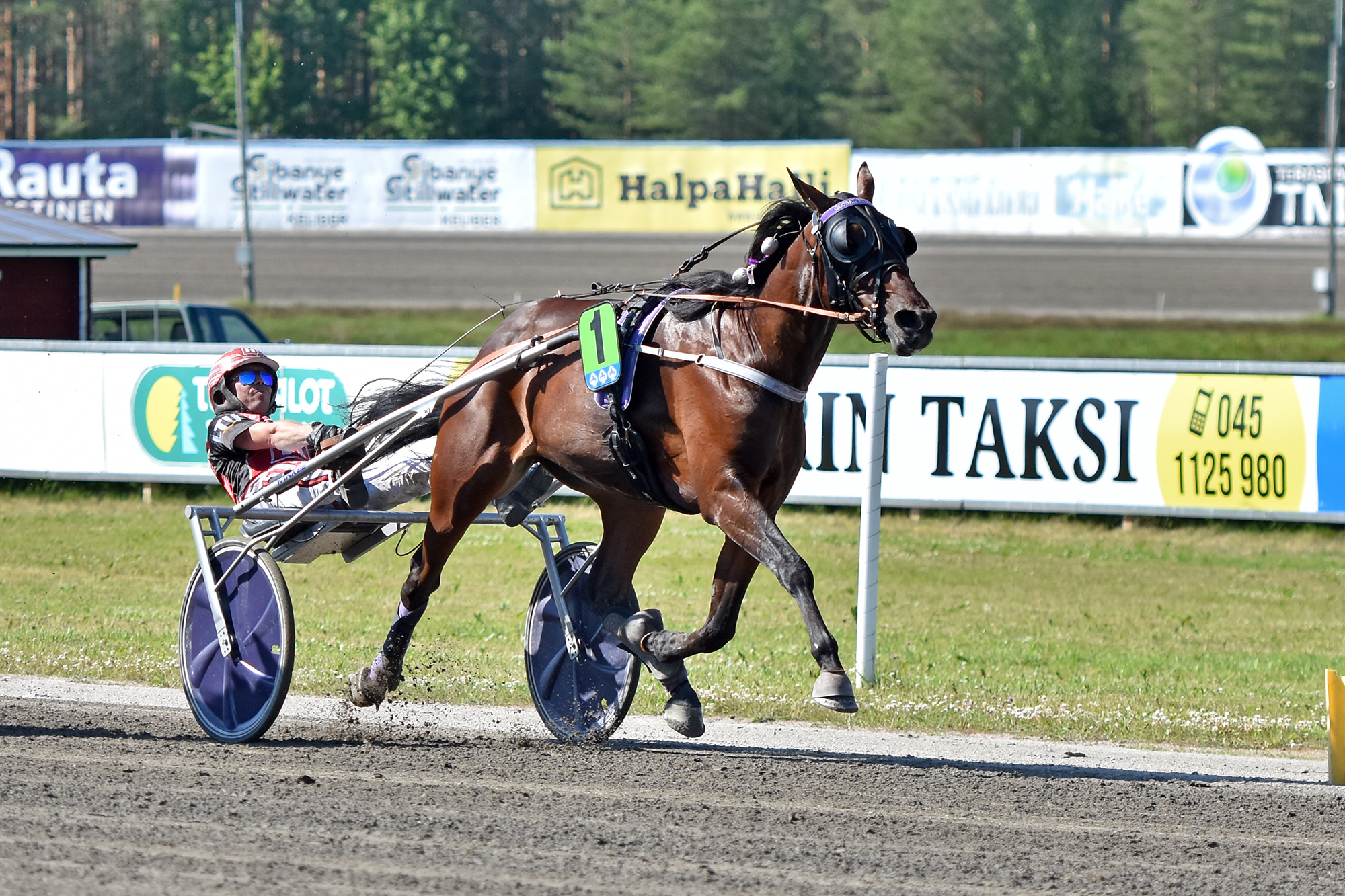 Global Withdrawl veti Festivaali-ajoa startista maaliin.