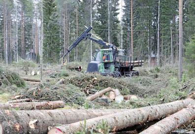 Hakkuut ja puuston kasvun heikkeneminen pienensivät metsän hiilinielua viime vuonna.